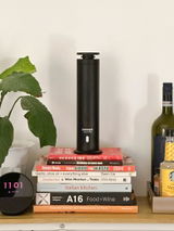 Remy review photo