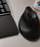 Bo review photo