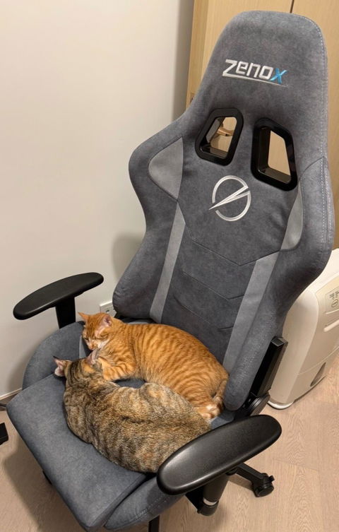 Zenox Mercury Mk-2 Gaming Chair (Davis Fabrics/ Koala Grey)
