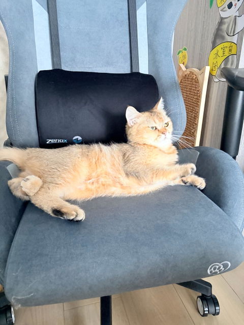 Zenox Mercury Mk-2 Gaming Chair (Davis Fabrics/ Koala Grey)