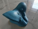 Tushar Bedi review photo