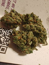 Mark giangiuli review photo