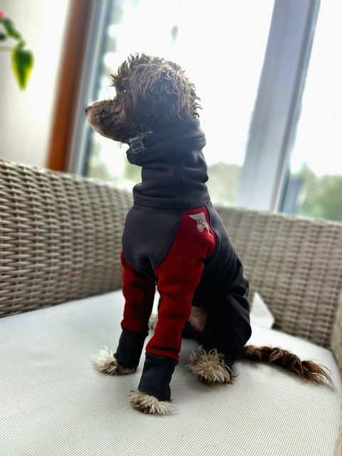 Z'Hoodie - Taille 1