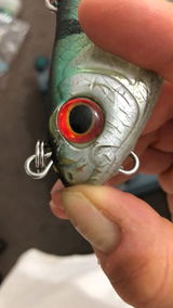 Alextheangler_adventures review photo