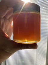 D.T. review photo