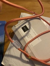 Susanna review photo