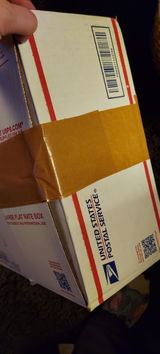 Elizabeth F. review photo