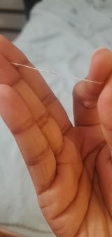 FA review photo