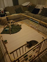 Etsy customer review photo