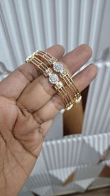 Prabhat Roy review photo