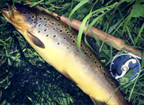 James Flinchbaugh review photo
