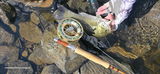 Robert Burton flyfishingmanitoba.com review photo