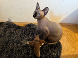 Aiden R. review photo