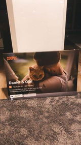 Daniel S. review photo