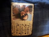 Noemi C. review photo