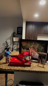 n.c. review photo