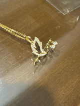Rohan review photo