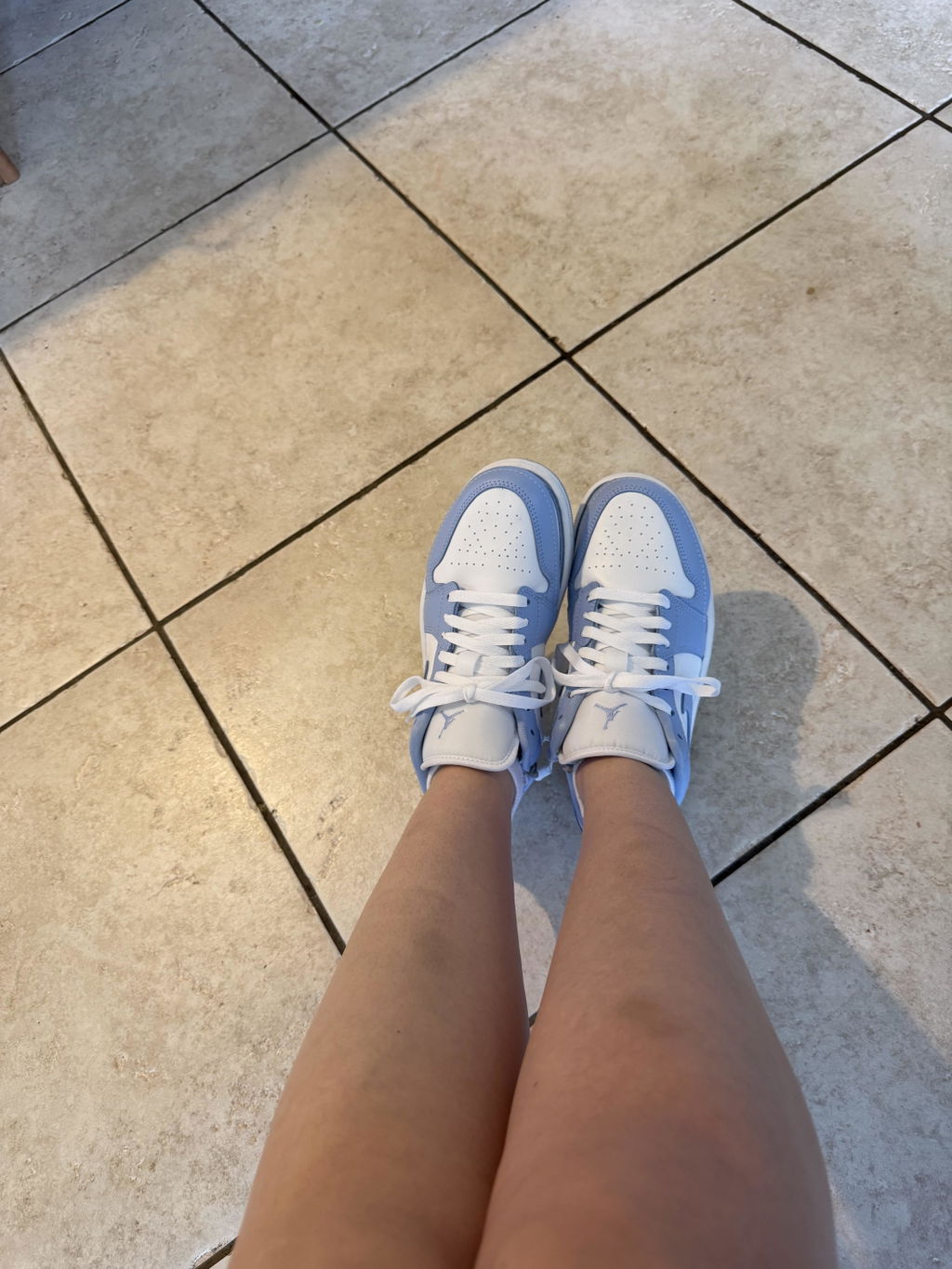 Nike Jordan 1 Low Zipped