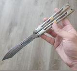 A.N. review photo