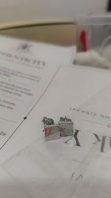 Diyan Sinha review photo