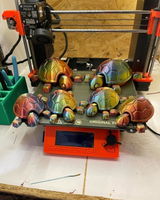 Nicholas Tedford review photo