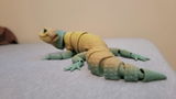 Shane Burgins review photo