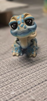 Amazon Customer review photo