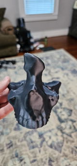 steven review photo