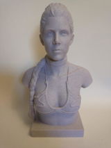 Raven review photo