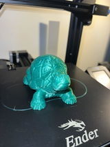 Jeremy B. review photo
