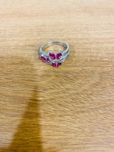 Ashish review photo