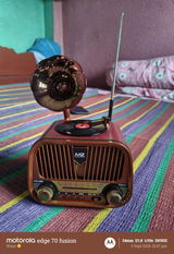 Rima review photo