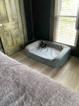 Jole review photo