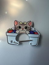 Kimberly P review photo