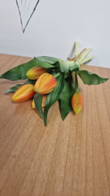 F.D. review photo
