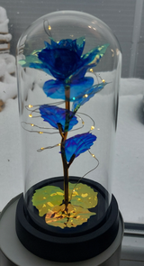 Catalin review photo