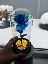 Catalin review photo