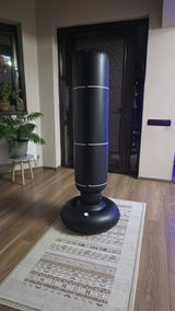 SORINA B review photo