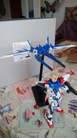 Bruno DEL PINO review photo