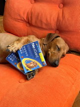 Миглена review photo