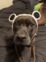 Emily M. review photo