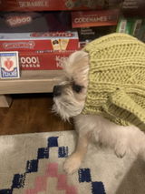 Customer review photo