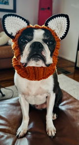 Marytheboston review photo