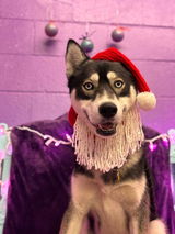 The Muttropolitan review photo