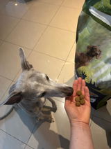 Bine review photo