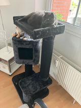 Rainer S. review photo
