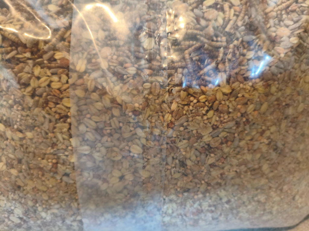 Natürlich Pfiffikus Vital-Mix mit Insekten