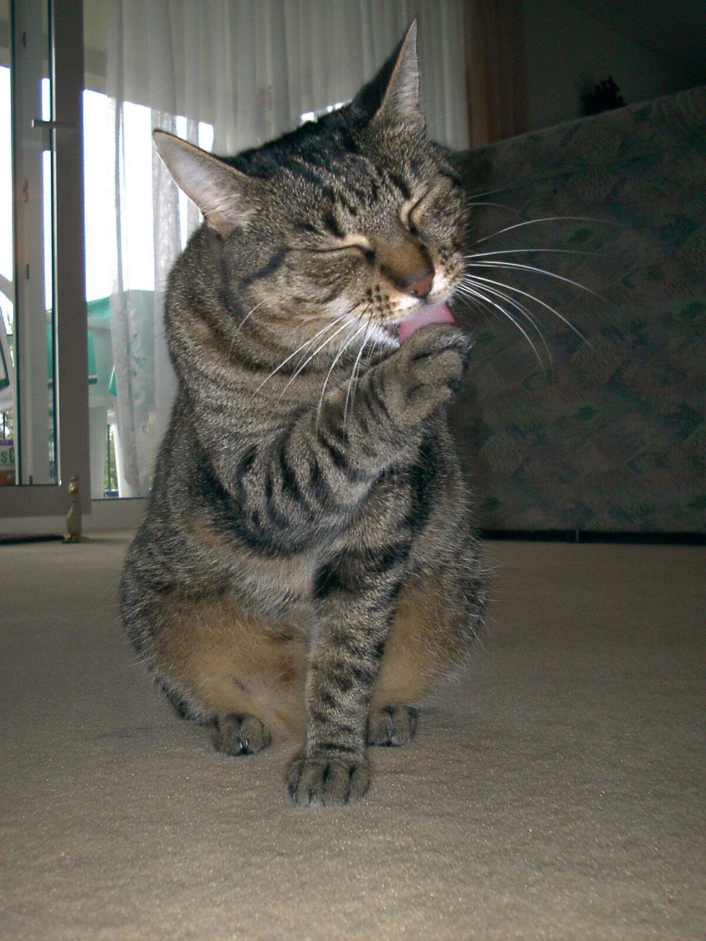 MAC's Cat Pouch Kaninchen & Geflügel 100 g