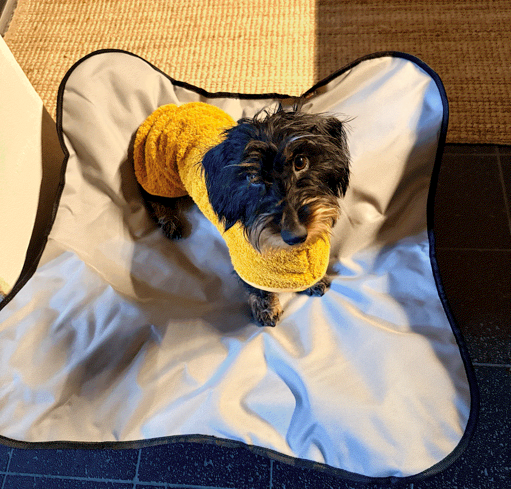 TRIXIE Camping-Bett mit abnehmbarem Bezug