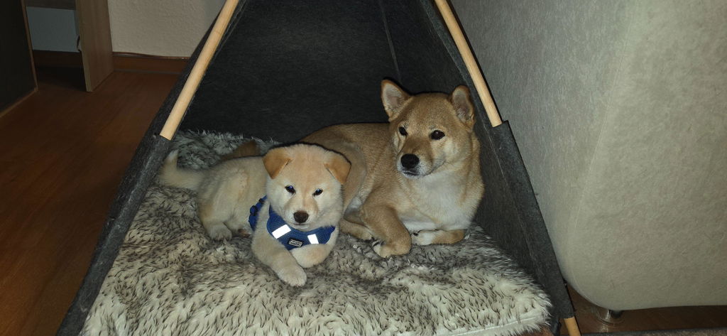 TRIXIE Höhle Tipi
